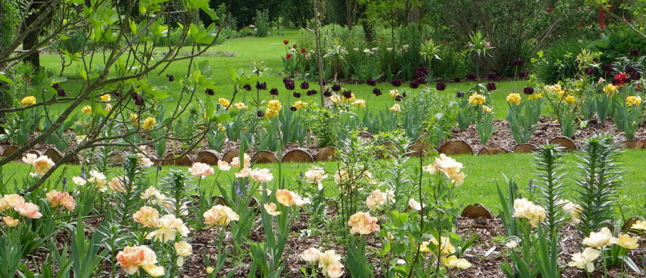 Le  Jardin  d' Elisee, Parc floral